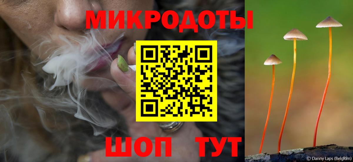 Псилоцибиновые грибы ЛСД Удомля